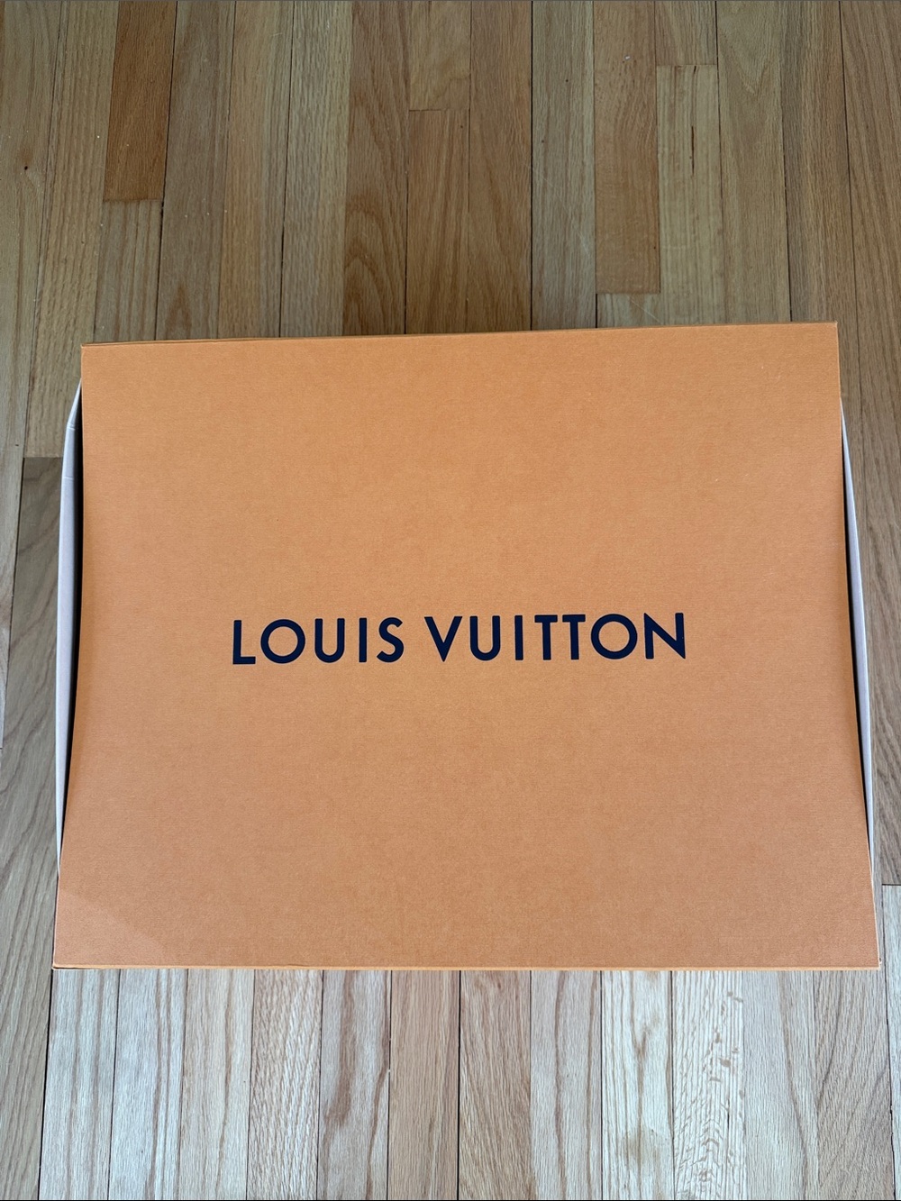 LOUIS VUITTON Large Storage Box